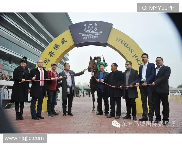 Knight荣膺MVPJBO电竞赛事精彩回顾与分析